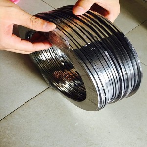 309S Stainless Steel Strip